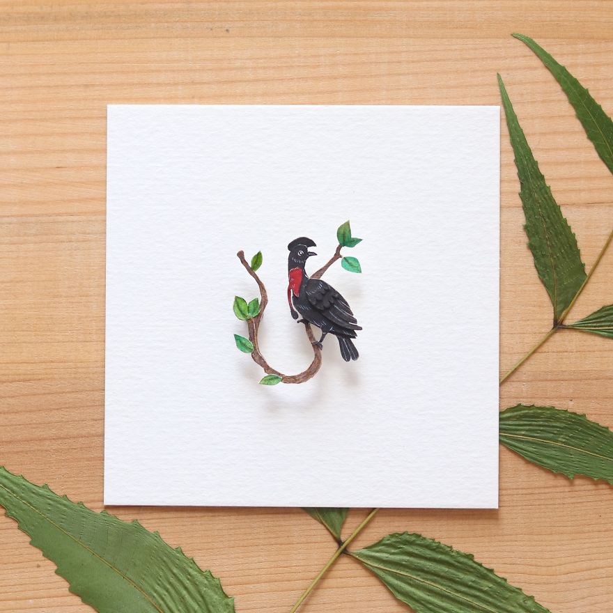 We Made An Alphabet Out Of Endangered Wildlife Species (34 Pics)