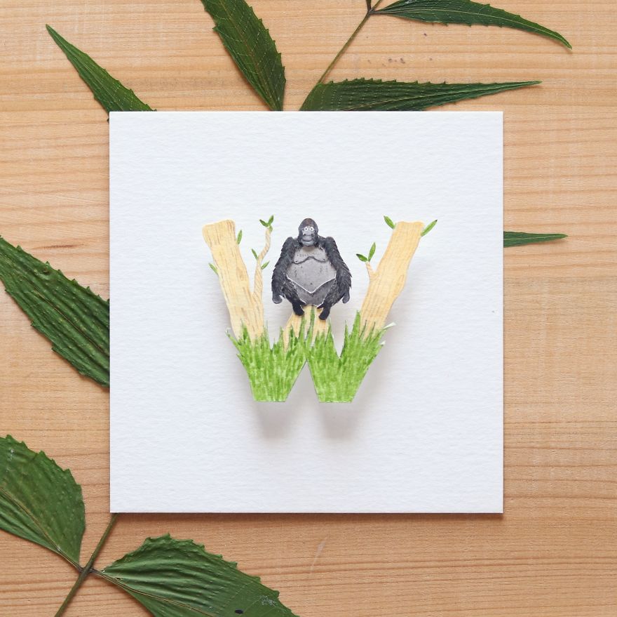 We Made An Alphabet Out Of Endangered Wildlife Species (34 Pics) We Made An Alphabet Out Of Endangered Wildlife Species (34 Pics)