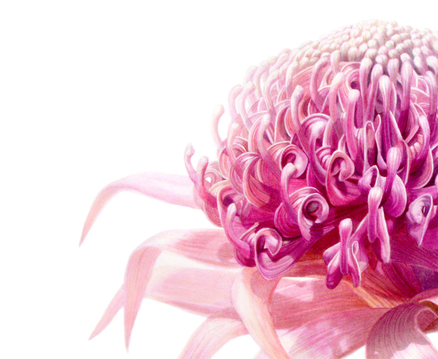 I Paint Crazy Alien Flowers In Watercolor I Paint Crazy Alien Flowers In Watercolor