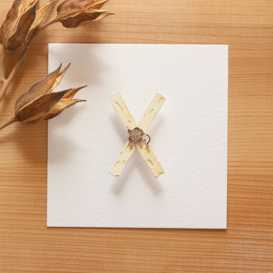 We Made An Alphabet Out Of Endangered Wildlife Species (34 Pics)