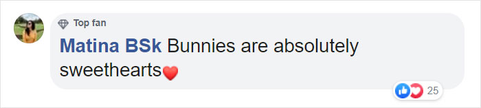 The Same Artist Who Made People Cry With Her ‘Good Boy’ And ‘Black Cat’ Comics Just Released A New One With A Bunny The Same Artist Who Made People Cry With Her ‘Good Boy’ And ‘Black Cat’ Comics Just Released A New One With A Bunny