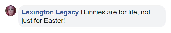 The Same Artist Who Made People Cry With Her ‘Good Boy’ And ‘Black Cat’ Comics Just Released A New One With A Bunny The Same Artist Who Made People Cry With Her ‘Good Boy’ And ‘Black Cat’ Comics Just Released A New One With A Bunny