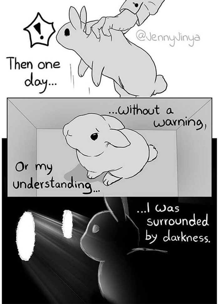 The Same Artist Who Made People Cry With Her ‘Good Boy’ And ‘Black Cat’ Comics Just Released A New One With A Bunny The Same Artist Who Made People Cry With Her ‘Good Boy’ And ‘Black Cat’ Comics Just Released A New One With A Bunny