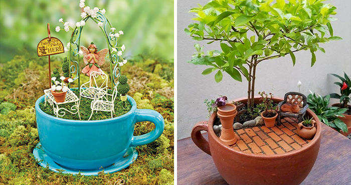 Parece que los minijardines en tazas de té están de moda, y aquí tienes 23 adorables ejemplos