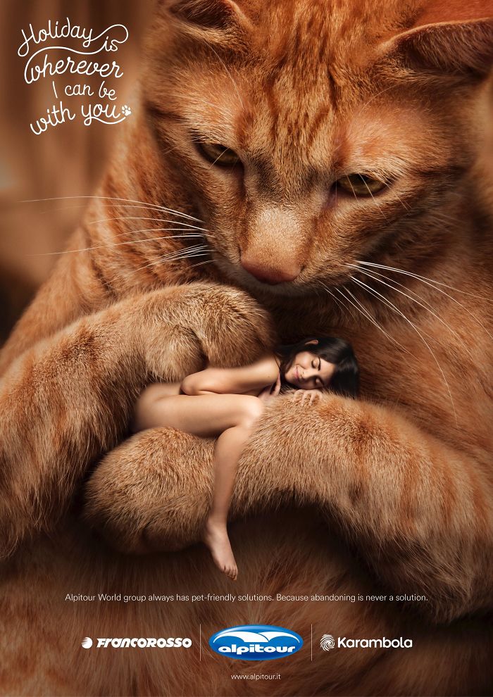 49 Ads Using Cats In A Purrrfect Way