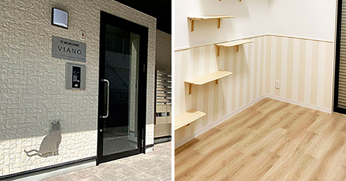 These Studio Apartments Are Dedicated To Singles Living With Cats And Their Fit Is For Maximum Feline Comfort