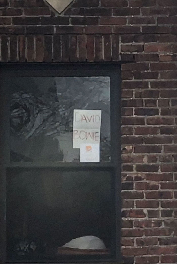 People Under Lockdown Are Using Window Signs To Talk To Their Neighbors About Their Cats, And It's Too Pure