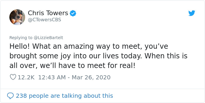 People Under Lockdown Are Using Window Signs To Talk To Their Neighbors About Their Cats, And It's Too Pure