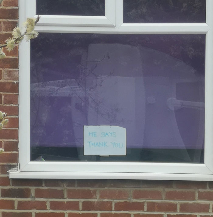 The neighbours window