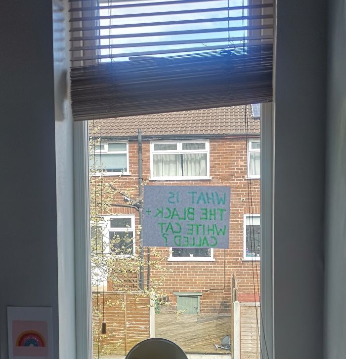 People Under Lockdown Are Using Window Signs To Talk To Their Neighbors About Their Cats, And It's Too Pure