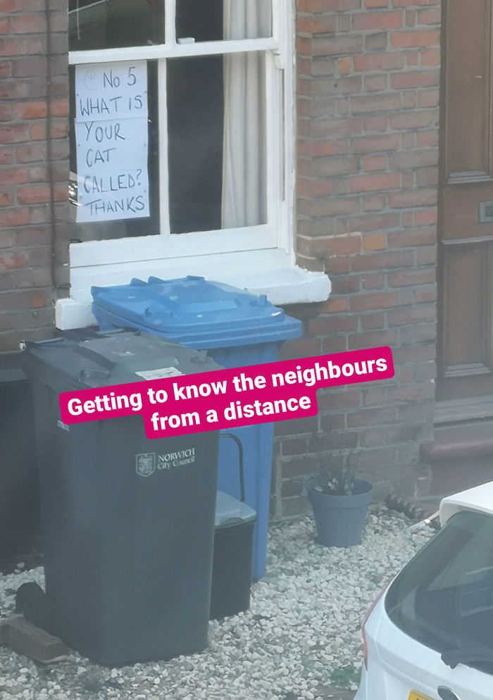People Under Lockdown Are Using Window Signs To Talk To Their Neighbors About Their Cats, And It's Too Pure