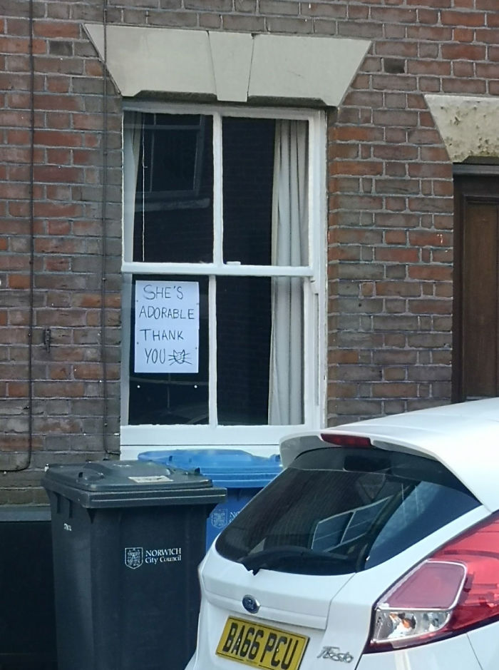 People Under Lockdown Are Using Window Signs To Talk To Their Neighbors About Their Cats, And It's Too Pure