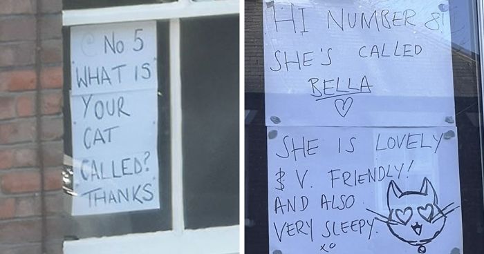 People Under Lockdown Are Using Window Signs To Talk To Their Neighbors About Their Cats, And It’s Too Pure