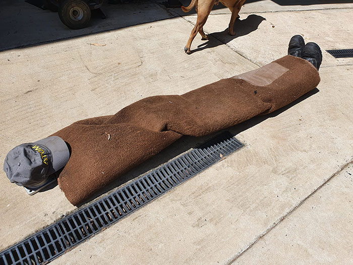 Australians-Dress-Up-Taking-Bins-Out