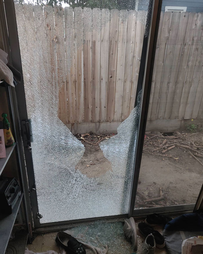 Been Home For 3 Weeks. Leave For 10 Minutes And Kids Shoot Two BB's Through The Window