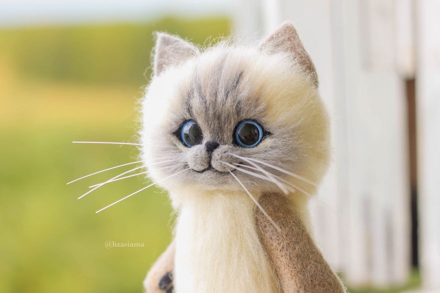 Russian Artist Produces Kittens Made Of Wool So Cute You Will Want One