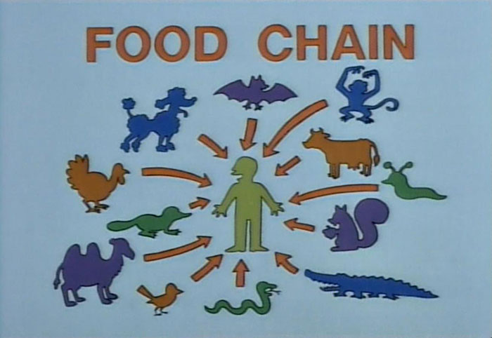 Cartoon-style food chain sign from The Simpsons showing various animals and a human at the center with arrows.