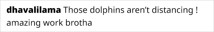 Dolphins Glow In Blue While Gliding Through Bioluminescent Waves And It's More Impressive Than A Double Rainbow