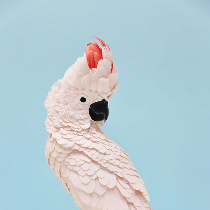 Artist Uses Paper To Recreate Bird Species All Around The World (30 Pics)