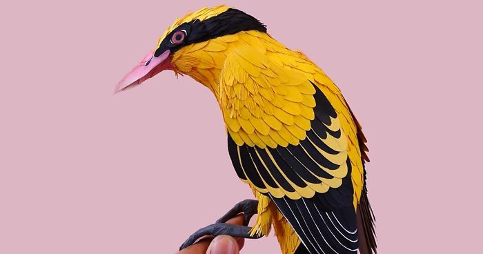 Artist Uses Paper To Recreate Bird Species All Around The World (30 Pics)