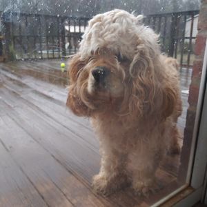 christian_woodward avatar