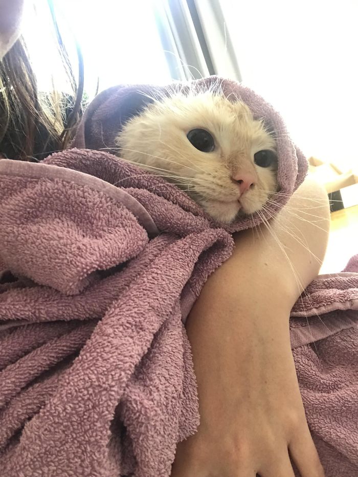 &ldquo;Left My Cat Alone With A Camera For 30 Minutes And Now I Can Never Leave Again&rdquo;