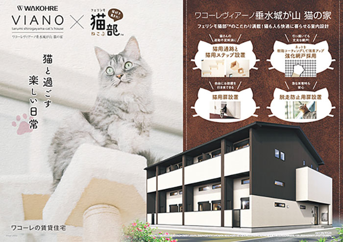 These Studio Apartments Are Dedicated To Singles Living With Cats And Their Fit Is For Maximum Feline Comfort These Studio Apartments Are Dedicated To Singles Living With Cats And Their Fit Is For Maximum Feline Comfort