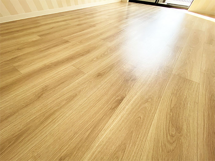 These Studio Apartments Are Dedicated To Singles Living With Cats And Their Fit Is For Maximum Feline Comfort These Studio Apartments Are Dedicated To Singles Living With Cats And Their Fit Is For Maximum Feline Comfort