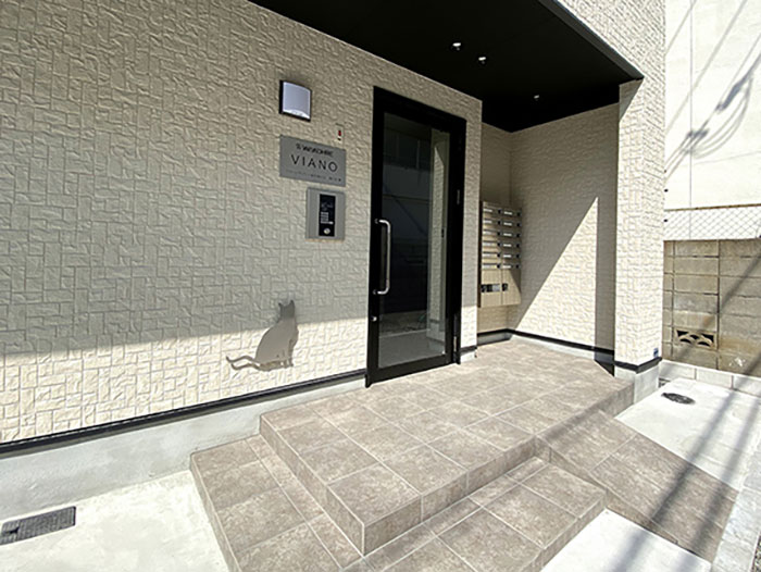 These Studio Apartments Are Dedicated To Singles Living With Cats And Their Fit Is For Maximum Feline Comfort