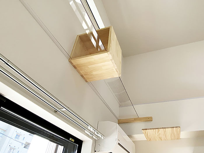 These Studio Apartments Are Dedicated To Singles Living With Cats And Their Fit Is For Maximum Feline Comfort