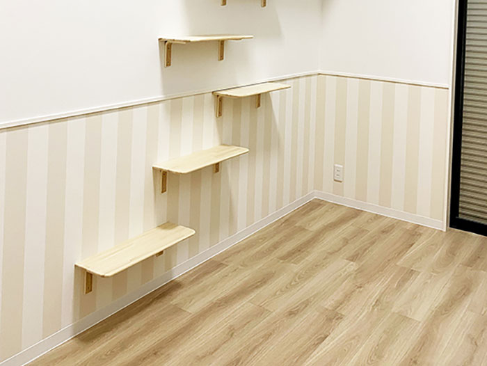 These Studio Apartments Are Dedicated To Singles Living With Cats And Their Fit Is For Maximum Feline Comfort