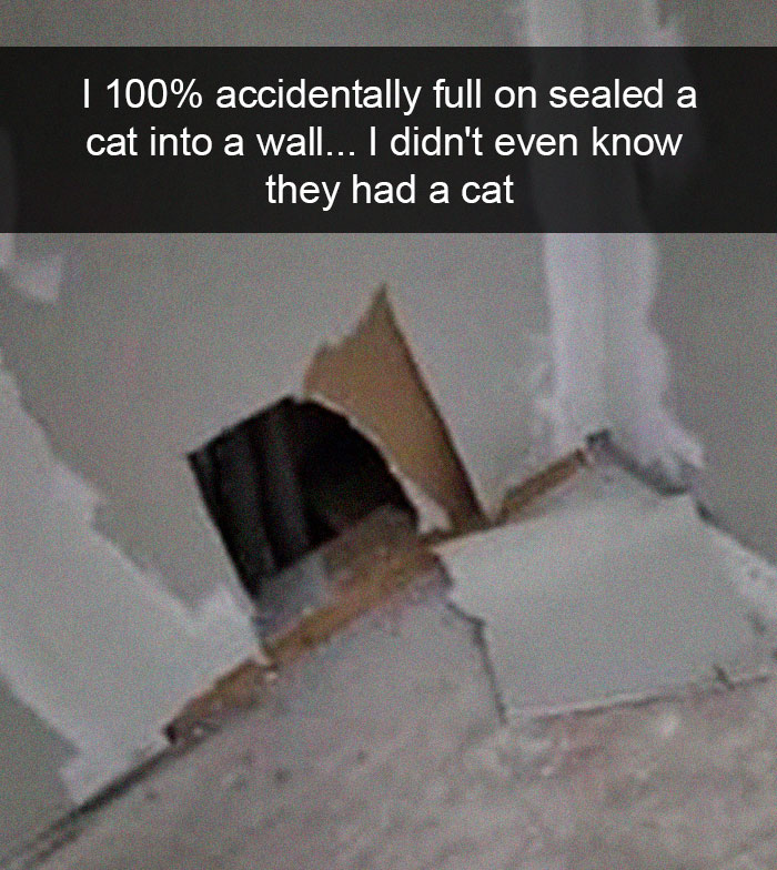 Cat-Snapchat-Funny