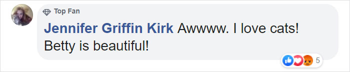 This Weatherman Starts Working From Home, Goes Viral After Cat Joins His Broadcast This Weatherman Starts Working From Home, Goes Viral After Cat Joins His Broadcast