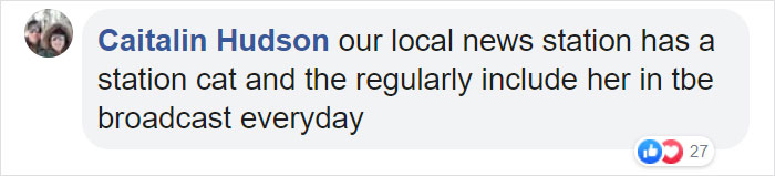 This Weatherman Starts Working From Home, Goes Viral After Cat Joins His Broadcast This Weatherman Starts Working From Home, Goes Viral After Cat Joins His Broadcast