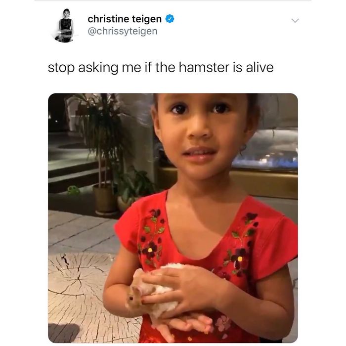 Christine Teigen Tweets