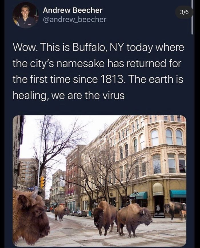 Coronavirus-Covid-19-Jokes