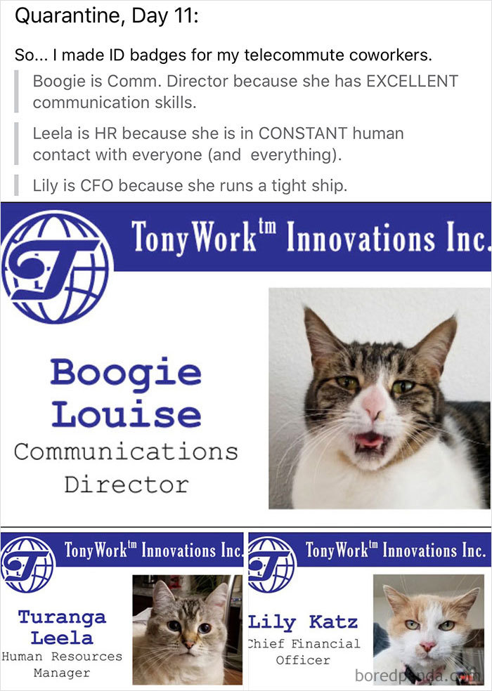 Coronavirus-Quarantine-Covid-19-Jokes