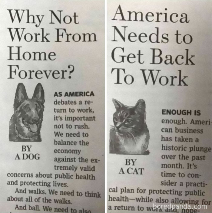 Dogmatic Or Catastrophize?