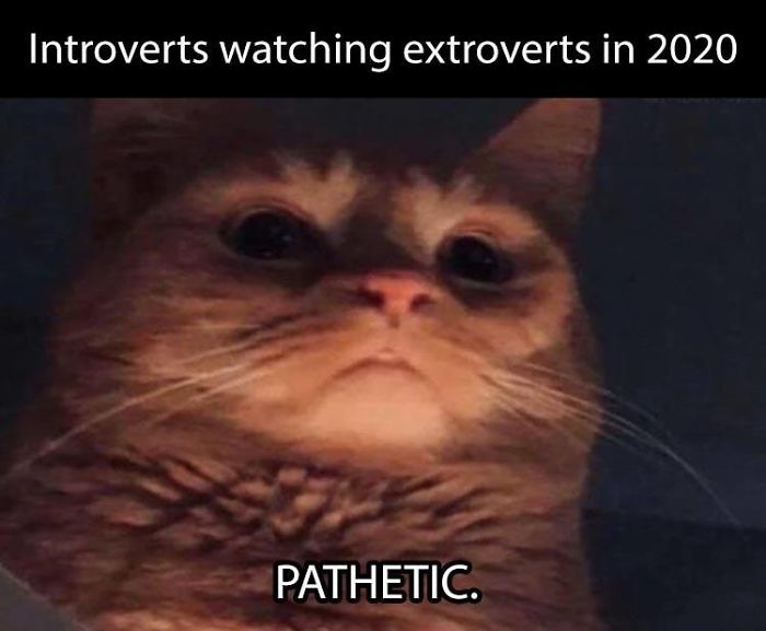 Coronavirus-Covid-19-Jokes