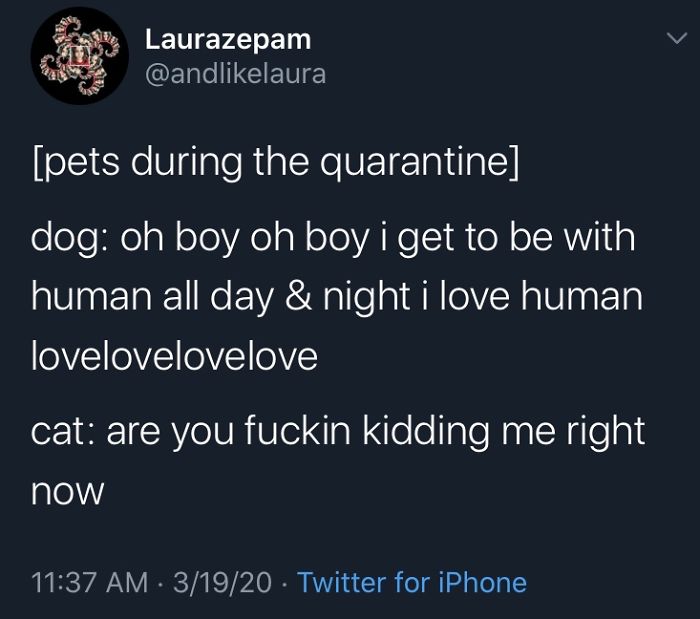 Coronavirus-Covid-19-Jokes