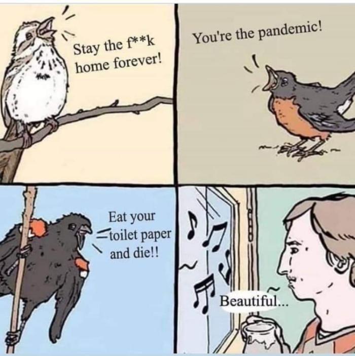 Coronavirus-Covid-19-Jokes