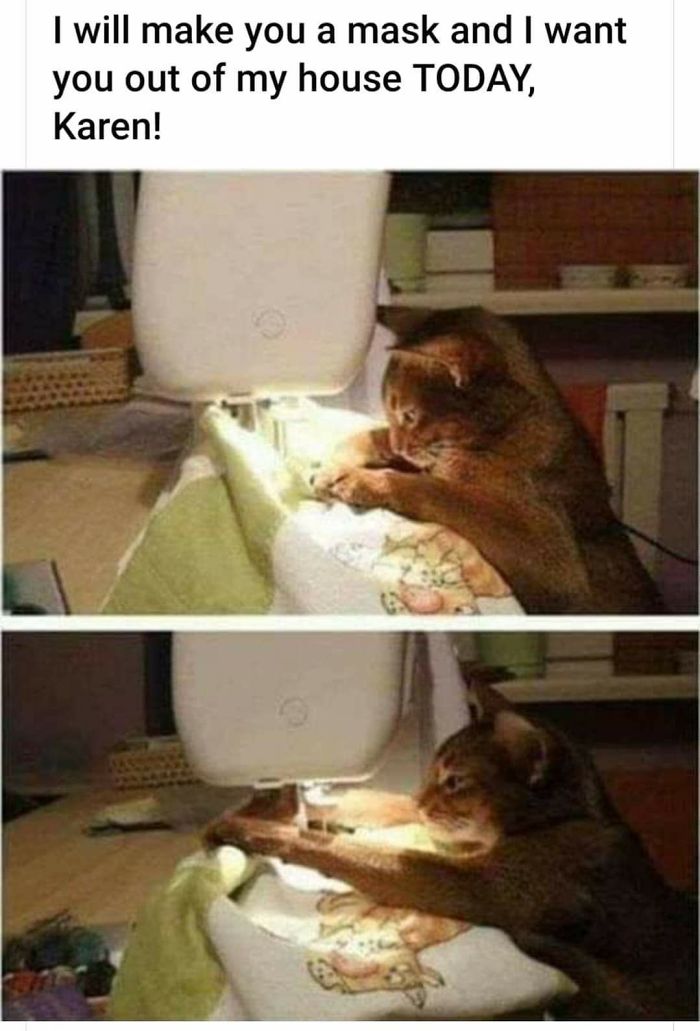 Coronavirus-Covid-19-Jokes