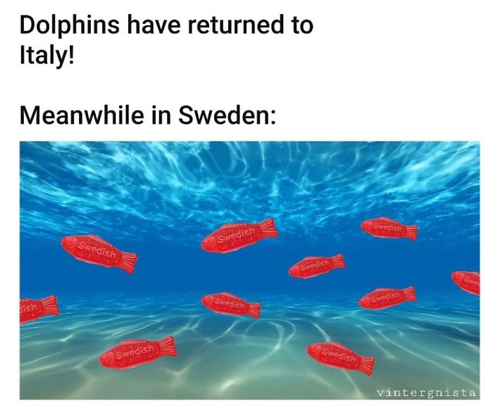 Coronavirus-Covid-19-Jokes