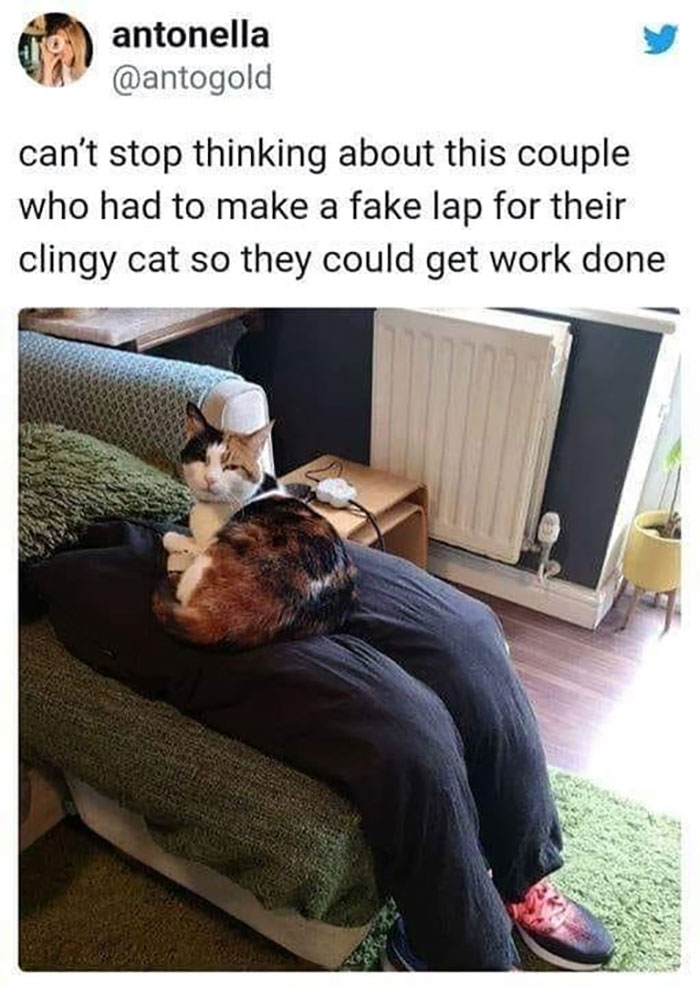 Coronavirus-Covid-19-Jokes