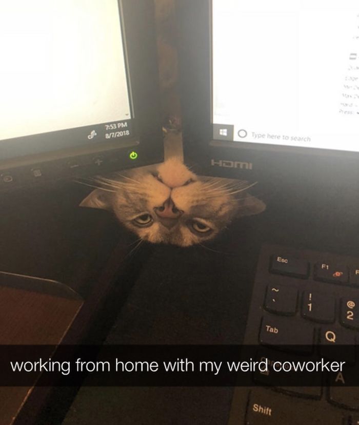 Coronavirus-Covid-19-Jokes