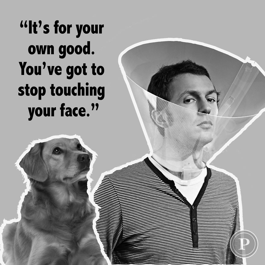 Dogs Finally Get There Revenge After All These Years!😫