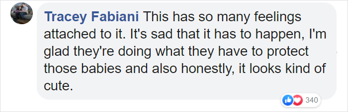 These Newborns Are Getting Tiny Face Shields To Protect Them From The Coronavirus