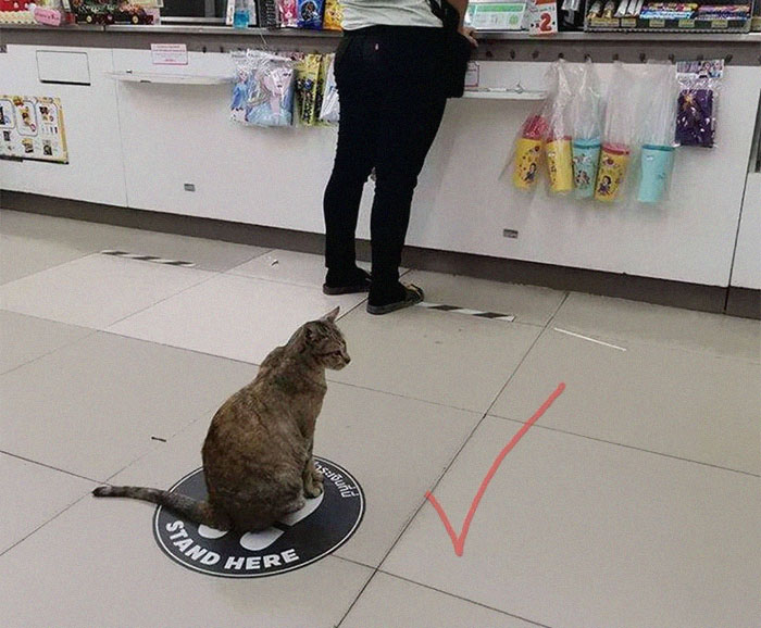 Coronavirus Jokes Are Everywhere And Here Are 40 Of The Best Ones This Week