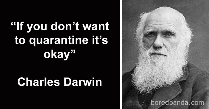 Coronavirus-Reopen-Jokes