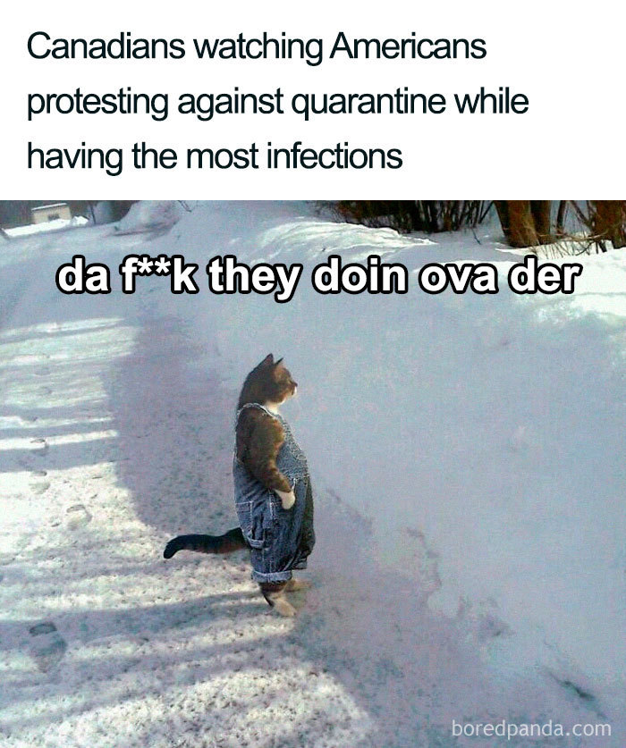 Coronavirus-Reopen-Jokes